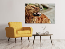 Load image into Gallery viewer, Canvas print Watchful Irish setter

