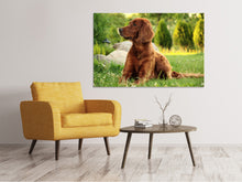 Load image into Gallery viewer, Canvas print Attentive Irish Setter
