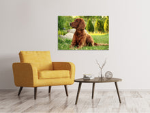 Load image into Gallery viewer, Canvas print Attentive Irish Setter
