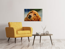 Load image into Gallery viewer, Canvas print Faithful Irish Setter
