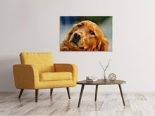 Load image into Gallery viewer, Canvas print Faithful Irish Setter
