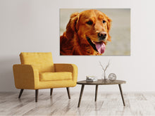 Load image into Gallery viewer, Canvas print faithful soul
