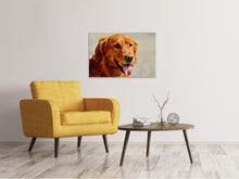 Load image into Gallery viewer, Canvas print faithful soul
