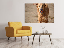 Load image into Gallery viewer, Canvas print Wet dog
