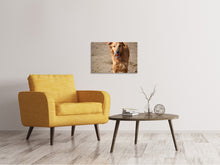 Load image into Gallery viewer, Canvas print Wet dog
