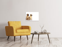 Load image into Gallery viewer, Canvas print 2 mastiffs
