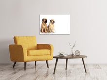 Load image into Gallery viewer, Canvas print 2 mastiffs
