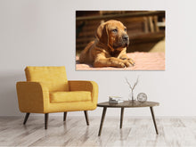 Load image into Gallery viewer, Canvas print Sad dog look
