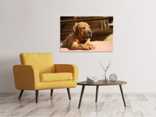 Load image into Gallery viewer, Canvas print Sad dog look
