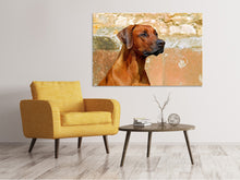 Load image into Gallery viewer, Canvas print Watchful Rhodesian Ridgeback
