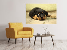 Load image into Gallery viewer, Canvas print Sweet Rottweiler puppy
