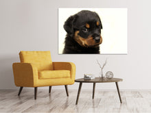 Load image into Gallery viewer, Canvas print Rottweiler puppy to fall in love
