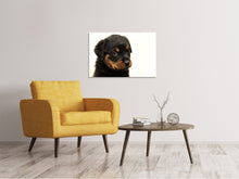 Load image into Gallery viewer, Canvas print Rottweiler puppy to fall in love
