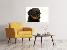 Load image into Gallery viewer, Canvas print Rottweiler puppy to fall in love
