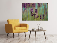 Load image into Gallery viewer, Canvas print Lavender in XL
