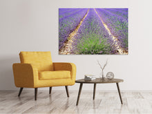 Load image into Gallery viewer, Canvas print The lavender field
