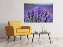 Load image into Gallery viewer, Canvas print The lavender flowers
