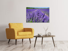 Load image into Gallery viewer, Canvas print The lavender flowers
