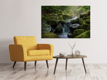 Load image into Gallery viewer, Canvas print Calming view

