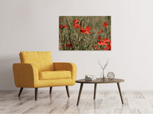 Load image into Gallery viewer, Canvas print The poppy in nature
