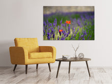 Load image into Gallery viewer, Canvas print Poppy in the lavender
