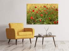 Load image into Gallery viewer, Canvas print The poppy in the wind
