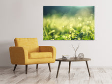 Load image into Gallery viewer, Canvas print In the meadow
