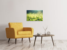 Load image into Gallery viewer, Canvas print In the meadow
