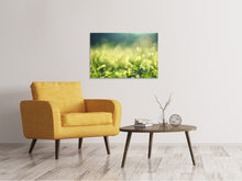 Load image into Gallery viewer, Canvas print In the meadow
