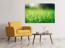 Load image into Gallery viewer, Canvas print Meadow with morning dew

