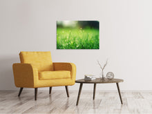 Load image into Gallery viewer, Canvas print Meadow with morning dew
