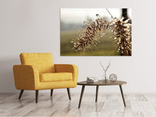 Load image into Gallery viewer, Canvas print Drops of nature
