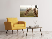 Load image into Gallery viewer, Canvas print Drops of nature
