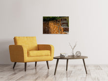 Load image into Gallery viewer, Canvas print Unfinished
