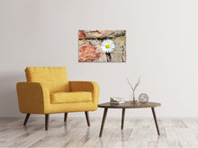 Load image into Gallery viewer, Canvas print Flower in the wall
