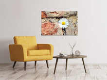 Load image into Gallery viewer, Canvas print Flower in the wall
