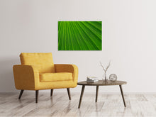 Load image into Gallery viewer, Canvas print Palm stripe 1

