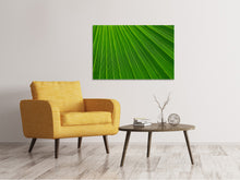 Load image into Gallery viewer, Canvas print Palm stripe 1
