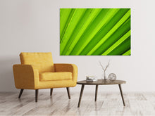 Load image into Gallery viewer, Canvas print Palm stripes 2
