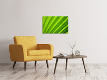 Load image into Gallery viewer, Canvas print Palm stripes 2
