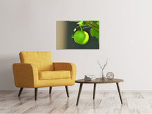 Load image into Gallery viewer, Canvas print Green apple
