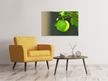 Load image into Gallery viewer, Canvas print Green apple
