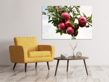 Load image into Gallery viewer, Canvas print Close up apple tree
