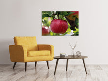 Load image into Gallery viewer, Canvas print Apple in XXL
