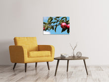 Load image into Gallery viewer, Canvas print Apple on the tree
