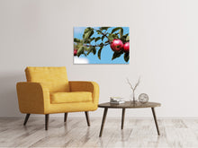 Load image into Gallery viewer, Canvas print Apple on the tree
