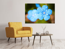 Load image into Gallery viewer, Canvas print Blue flower with morning dew
