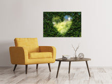 Load image into Gallery viewer, Canvas print The heart in the hedge
