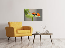 Load image into Gallery viewer, Canvas print 2 ladybirds
