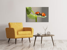 Load image into Gallery viewer, Canvas print 2 ladybirds

